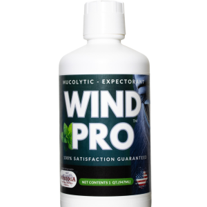 Wind Pro