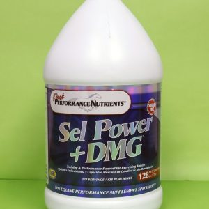 Sel Power + DMG